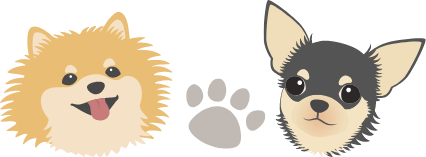 かわいいわんちゃんが皆様をお待ちしております！